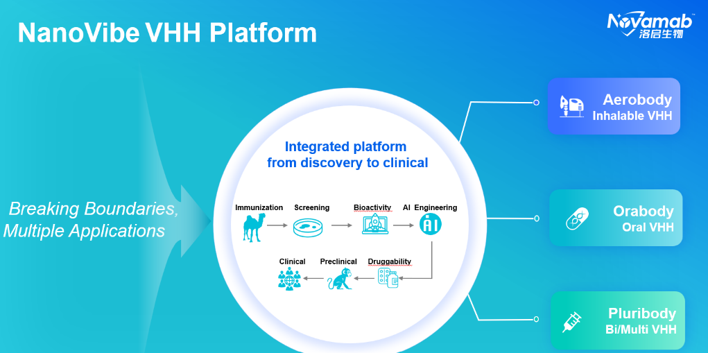 截图-20251231143714